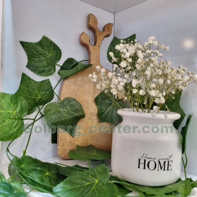 ریسه برگ انگور بسته 12 عددی