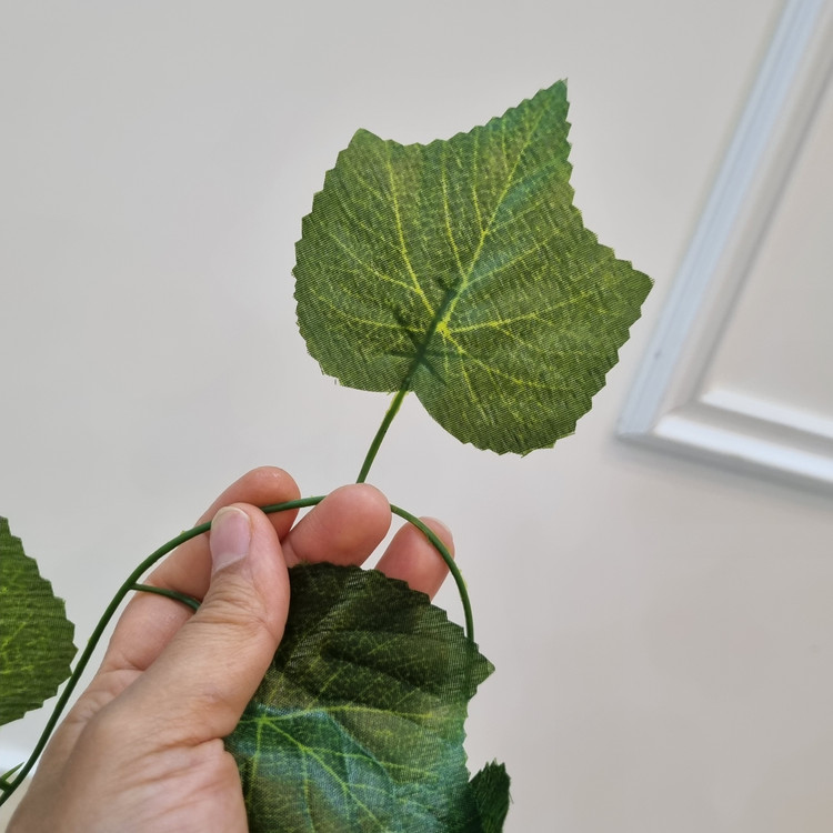 ریسه برگ انگور بسته 12 عددی