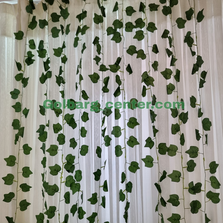 ریسه برگ انگور بسته 12 عددی