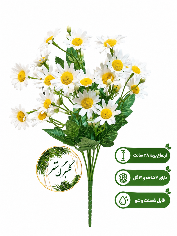 بوته بابونه خورشیدی