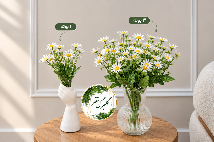 بوته بابونه خورشیدی