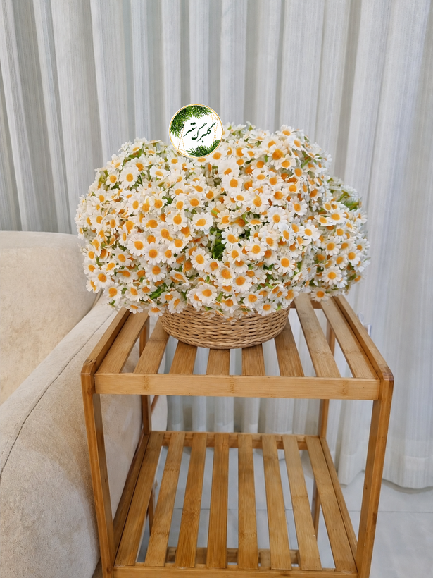 دسته گل بابونه مدل 7 شاخه