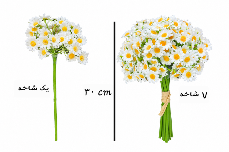 دسته گل بابونه مدل 7 شاخه