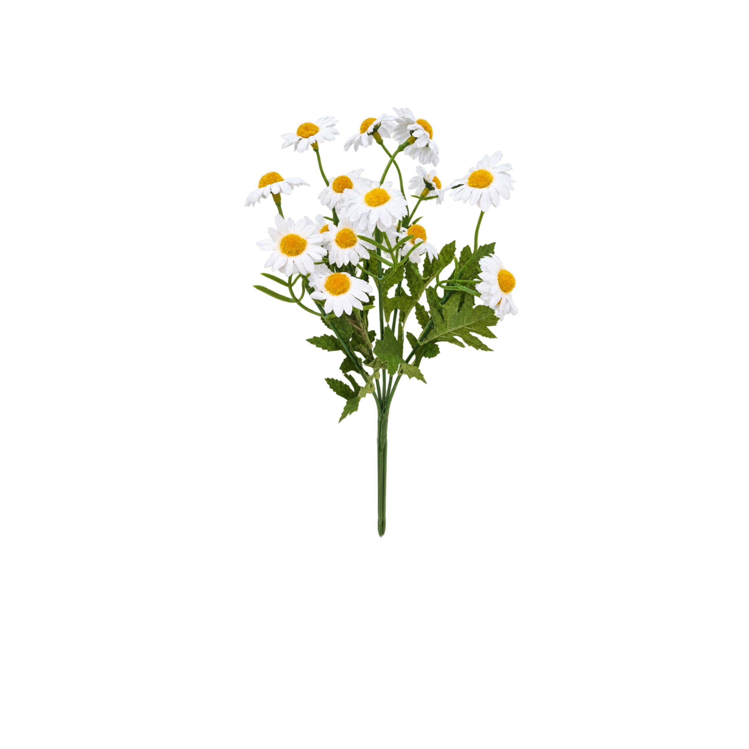 بوته بابوته کوهی بسته یک عددی