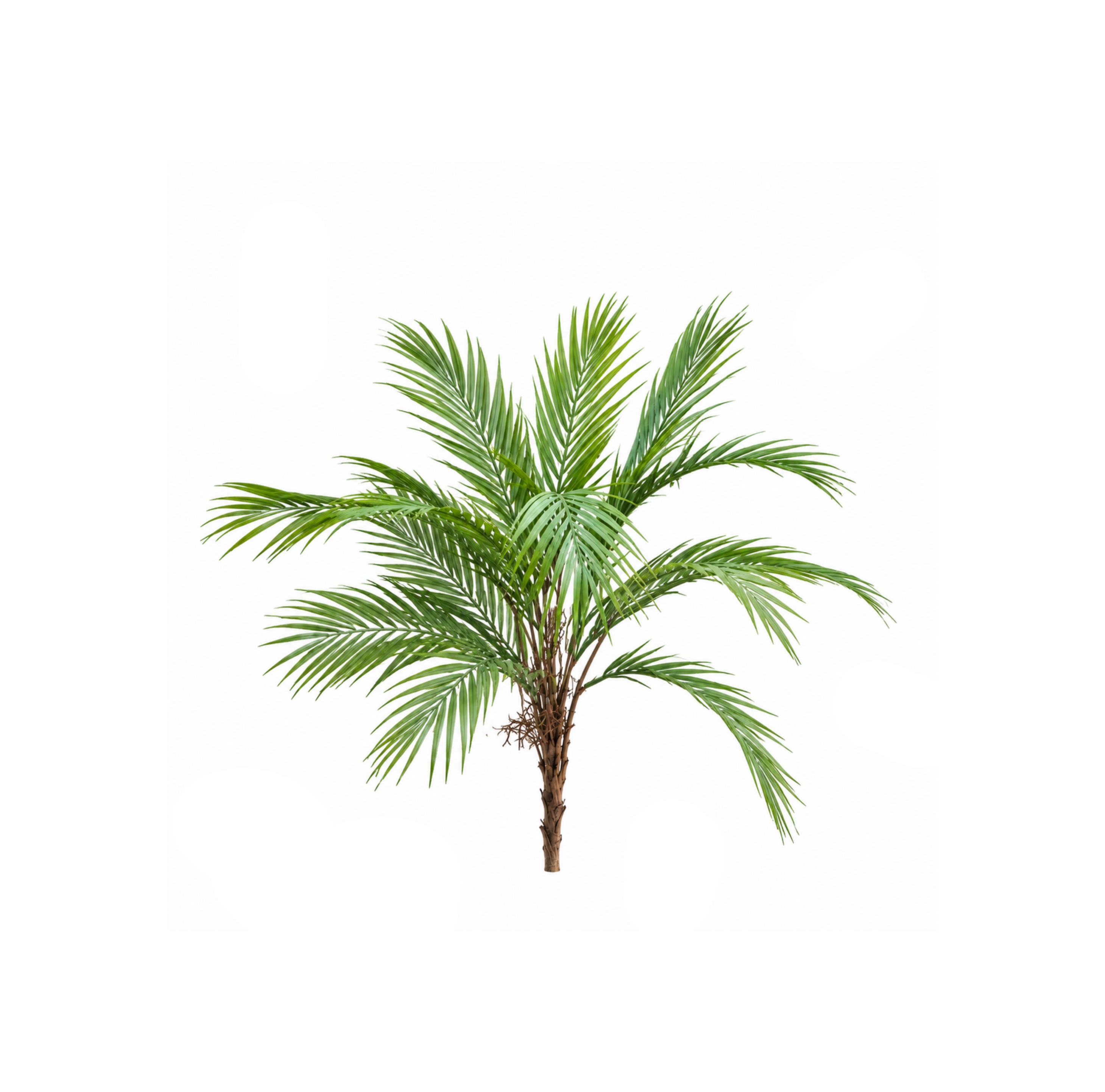درختچه مصنوعی مدل نخل کنتیا