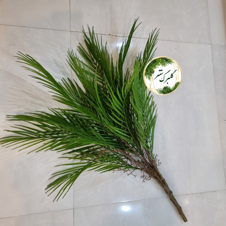درختچه مصنوعی مدل نخل کنتیا