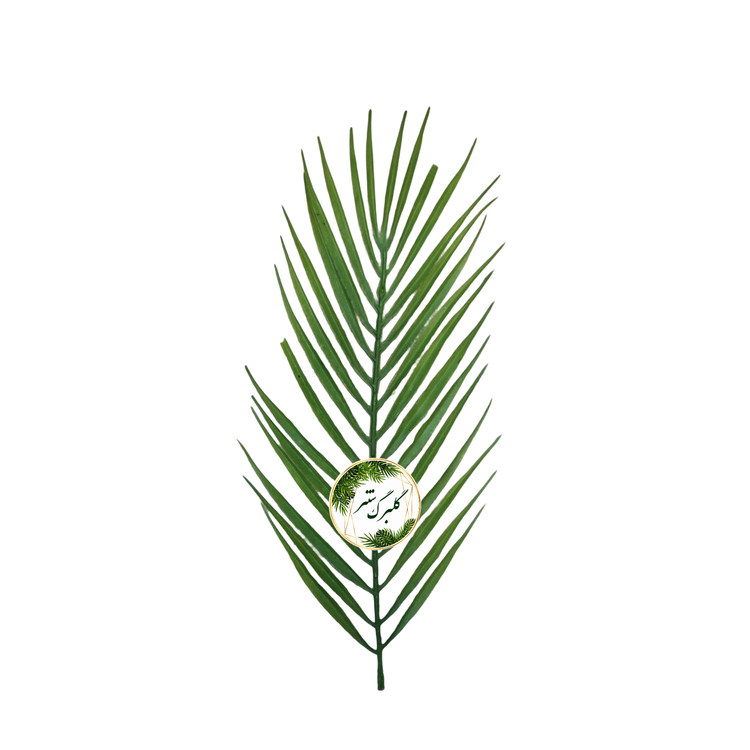 درختچه مصنوعی مدل نخل کنتیا