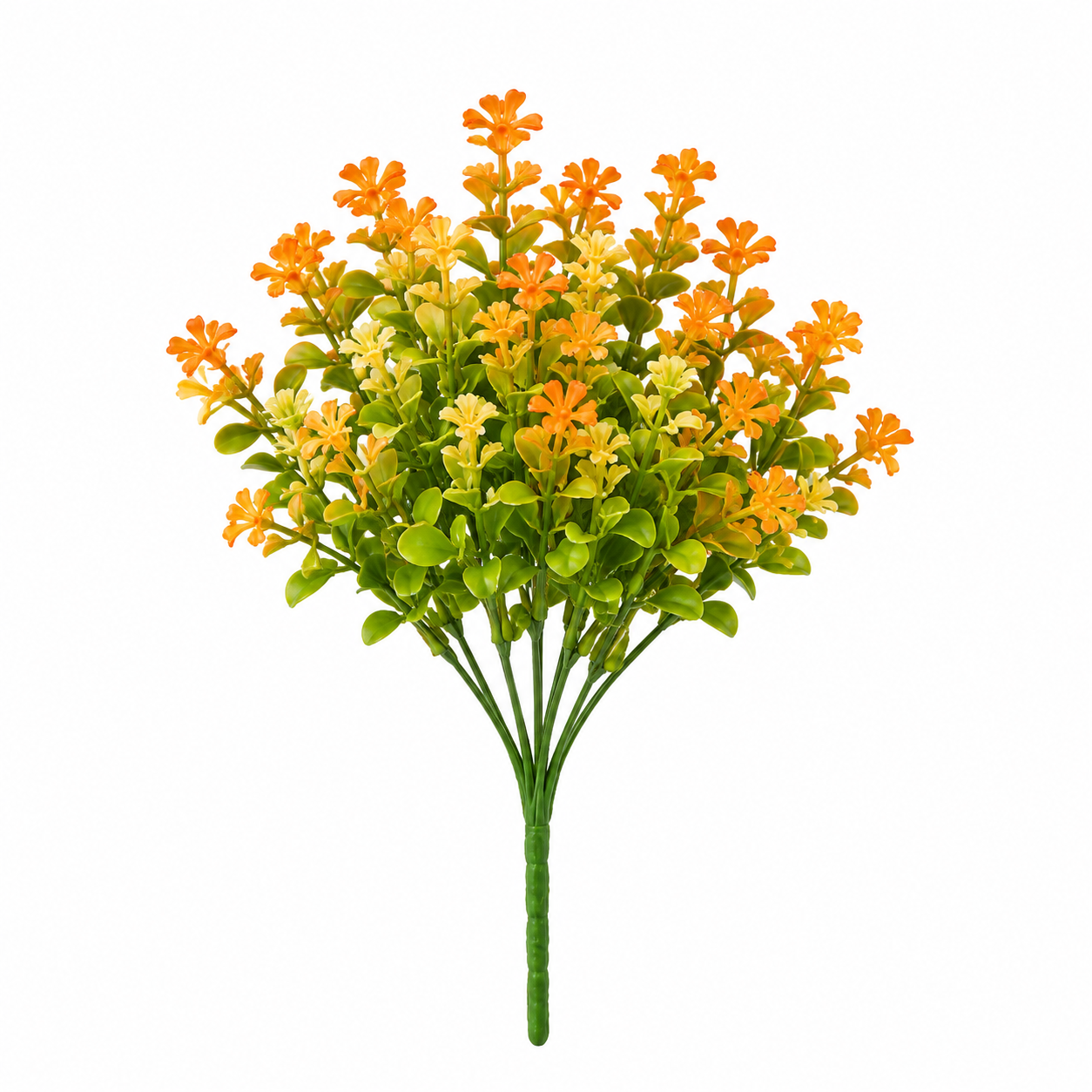 بوته شکوفه پاییزی